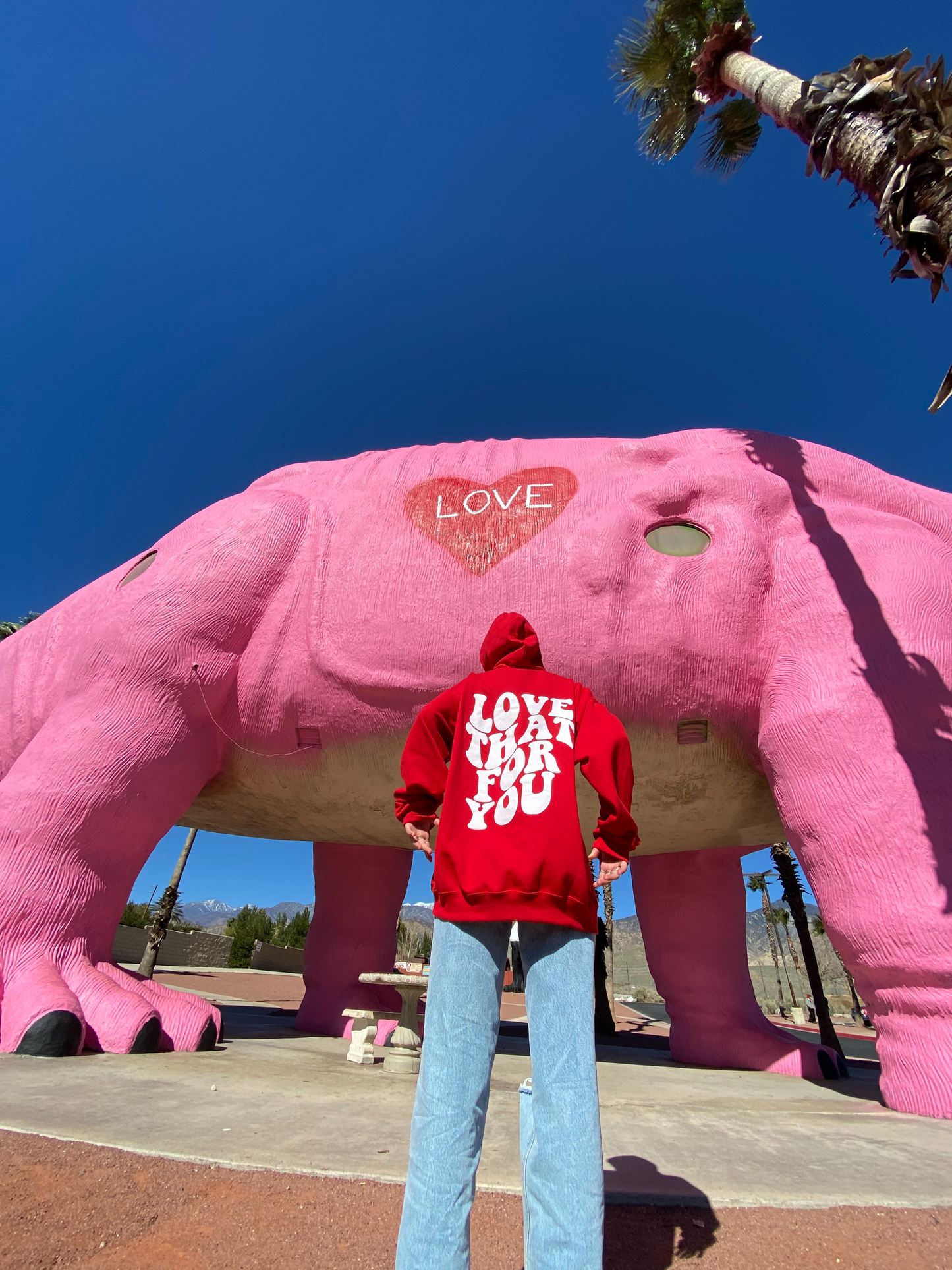 Red Hoodie with "Love That For You" Lettering in White